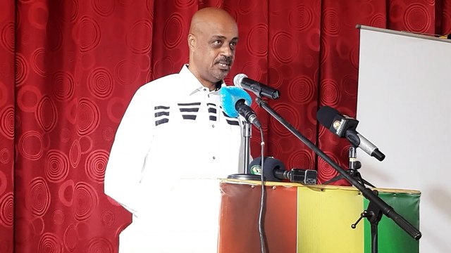 Ce que le ministre Damantang n'avait pas (encore) dit sur Alpha Condé