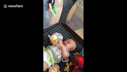 Baby thinks getting teased with toy action figure is hilarious