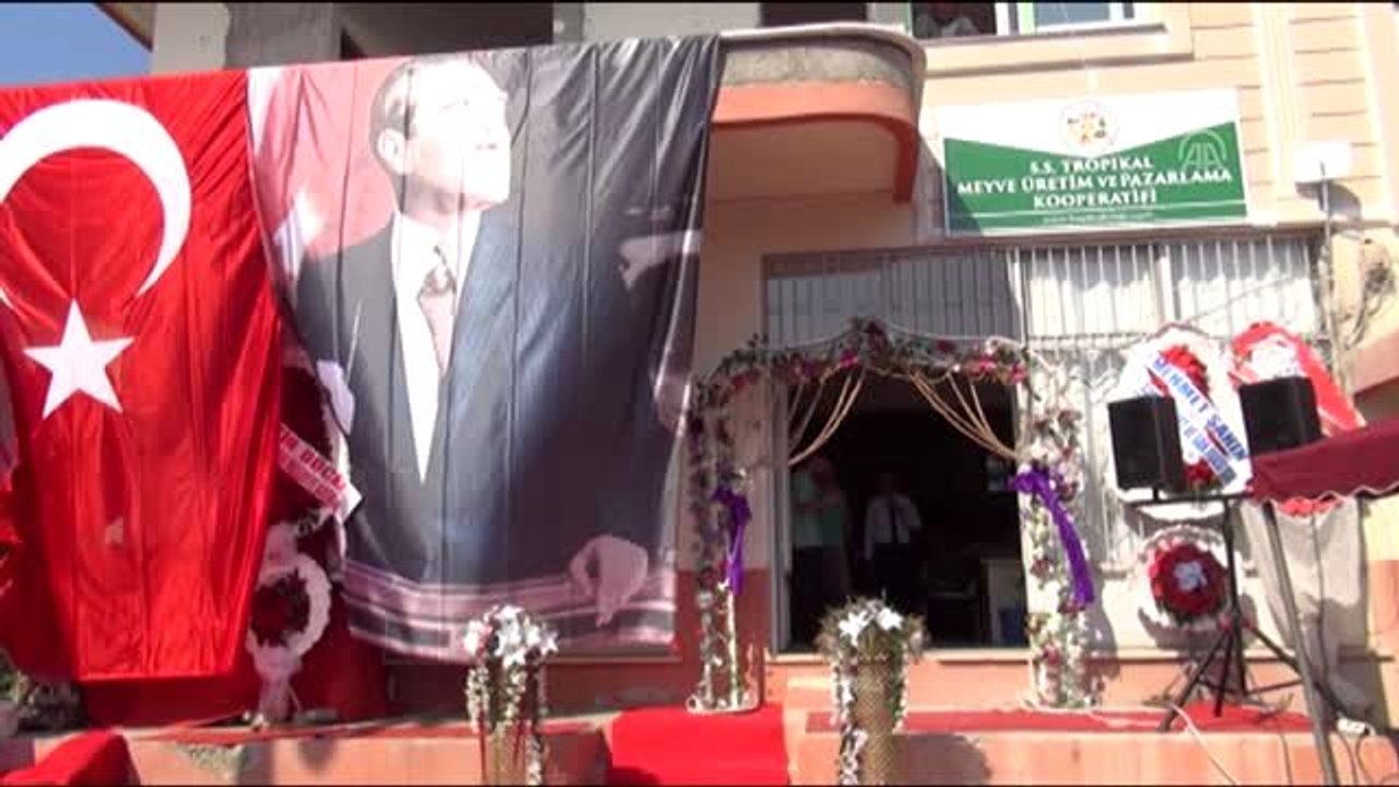 Tropikal Meyve Üretim ve Pazarlama Kooperatifi açıldı