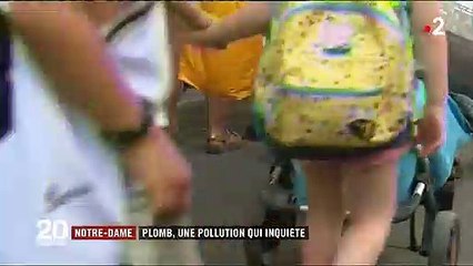 Notre-Dame de Paris : nouvelle crainte d'une pollution au plomb