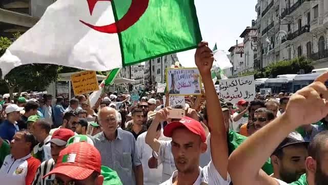 Cezayir'de Buteflika rejimi karşıtı protesto (2)