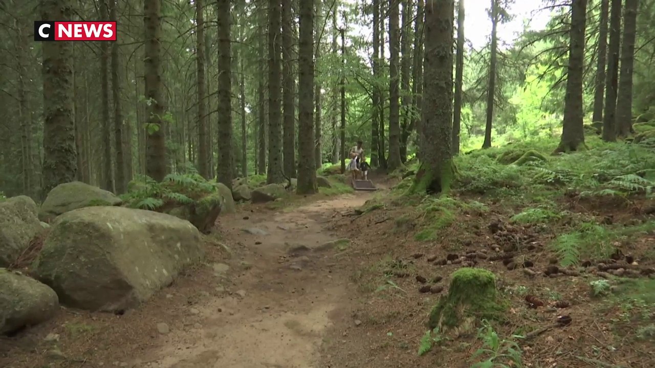 Haut-Rhin : un sentier pieds nus pour se reconnecter avec la nature