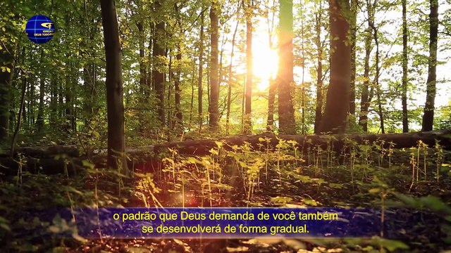 A palavra de Deus Como conhecer o caráter de Deus e o resultado de Sua obra Parte três – Mensagem