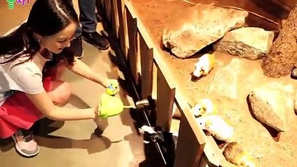 팔달출장안마 -후불100%ョOiOy2997y5327｛카톡KC789｝ 팔달전지역출장안마 팔달오피걸 팔달출장마사지 팔달안마 팔달출장마사지 팔달콜걸샵タダチ