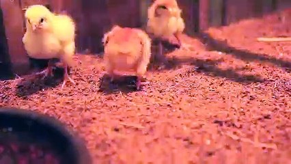 제천출장안마 -후불100%ョOiOS8109S5900｛카톡OYO78｝ 제천전지역출장안마 제천오피걸 제천출장마사지 제천안마 제천출장마사지 제천콜걸샵♪∀