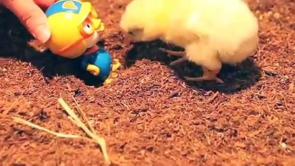 창녕출장안마 -후불100%ョOiOc7362c3210｛카톡BB5858｝ 창녕전지역출장안마 창녕오피걸 창녕출장마사지 창녕안마 창녕출장마사지 창녕콜걸샵ЪЫЬ