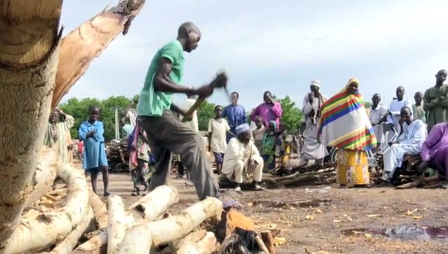 Boko Haram: 10 years of conflict and still no respite for the displaced Nigerians