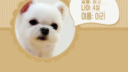 남동출장타이O7Os7301s9649｛카톡ZF66｝ぱ남동출장안@마ぱ남동출장샵ぱ남동출장맛사지 ぱ남동출장걸썰 남동출장걸가격 남동출장러시아 남동외국인후불출장업소 남동24시출장마사지샵'예약★●◎