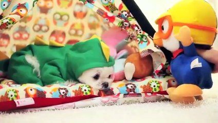 동해출장타이OiOe2997e5327｛카톡KC789｝ぱ동해출장안@마ぱ동해출장샵ぱ동해출장맛사지 ぱ동해출장걸썰 동해출장걸가격 동해출장러시아 동해외국인후불출장업소 동해24시출장마사지샵'예약§∥∏