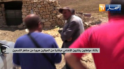 باتنة: مواطنون يشترون الأضاحي مباشرة من الموالين هروبا من مخاطر التسمين