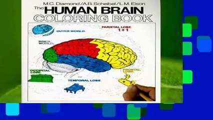 The Human Brain Coloring Book (Coloring Concepts)