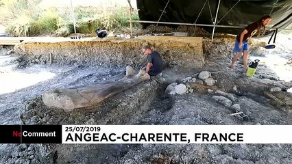 العثور على أطول عظمة تعود لأحد أنواع الديناصوارت في فرنسا