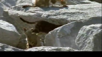 상무출장안마 -후불100%ョOiOg8109g5900｛카톡GD825｝ 상무전지역출장안마 상무오피걸 상무출장마사지 상무안마 상무출장마사지 상무콜걸샵ぇえぉ