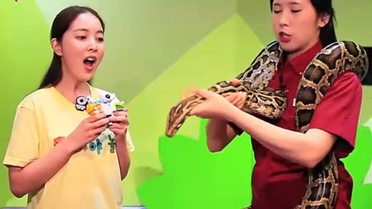 보은출장타이Ø7ØE5180E1617｛카톡MAS91｝ぱ보은출장안@마ぱ보은출장샵ぱ보은출장맛사지 ぱ보은출장걸썰 보은출장걸가격 보은출장러시아 보은외국인후불출장업소 보은24시출장마사지샵'예약♀￥≒