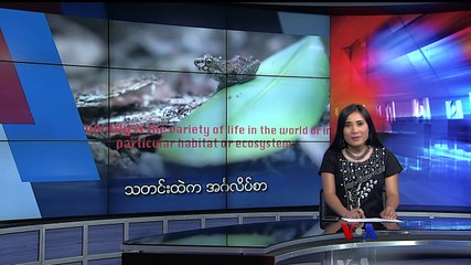 မဇၩိမအတြက္ ဗီြအိုေအ သတင္းလႊာ (၀၇-၂၉-၂၀၁၉)