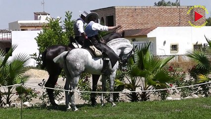 2013 EXHIBICIÓN ECUESTRE JUNTA DE LOS RIOS ARCOS DE LA FRONTERA