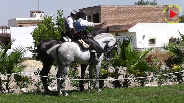 2013 EXHIBICIÓN ECUESTRE JUNTA DE LOS RIOS ARCOS DE LA FRONTERA