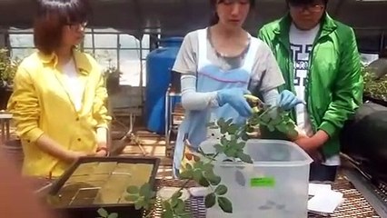 이천출장안마 -후불100%ョØ7ØA7575A0062｛카톡DDR88｝ 이천전지역출장안마 이천오피걸 이천출장마사지 이천안마 이천출장마사지 이천콜걸샵лмн