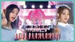 [HOT] fromis_9 - LOVE RUMPUMPUM, 프로미스나인 - LOVE RUMPUMPUM Show Music core 20190727