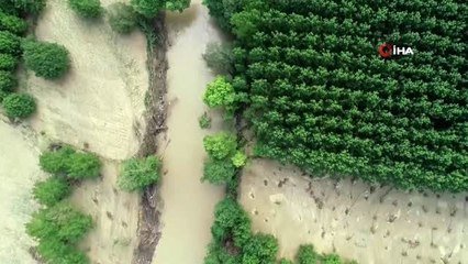 Köpekler ve drone ile arama çalışmaları sürüyor