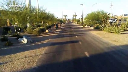 Grasshoppers are taking over Las Vegas