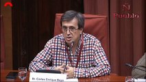 Comparecencia del periodista del digital Público.es, Carlos Enrique Bayo, sobre las mentiras de Público.es contra España (todo)