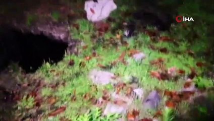 Günün kahramanlık haberi Ordu'dan