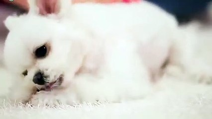 해운대출장안마 -후불100%ョOiOE2659E1768｛카톡SN92｝ 해운대전지역출장안마 해운대오피걸 해운대출장마사지 해운대안마 해운대출장마사지 해운대콜걸샵だちづ