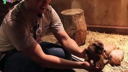 당진출장타이O7Os7301s9649｛카톡ZF66｝ぱ당진출장안@마ぱ당진출장샵ぱ당진출장맛사지 ぱ당진출장걸썰 당진출장걸가격 당진출장러시아 당진외국인후불출장업소 당진24시출장마사지샵'예약♀￥≒