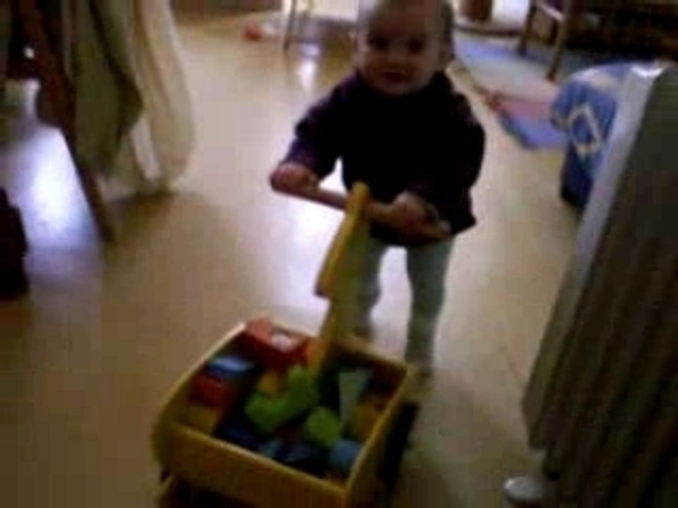 Chariot et gamelle