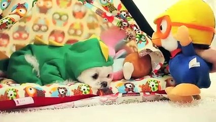 두정동출장안마 -후불100%ョOiOy8109y5900｛카톡OYO78｝ 두정동전지역출장안마 두정동오피걸 두정동출장마사지 두정동안마 두정동출장마사지 두정동콜걸샵ヨラリ