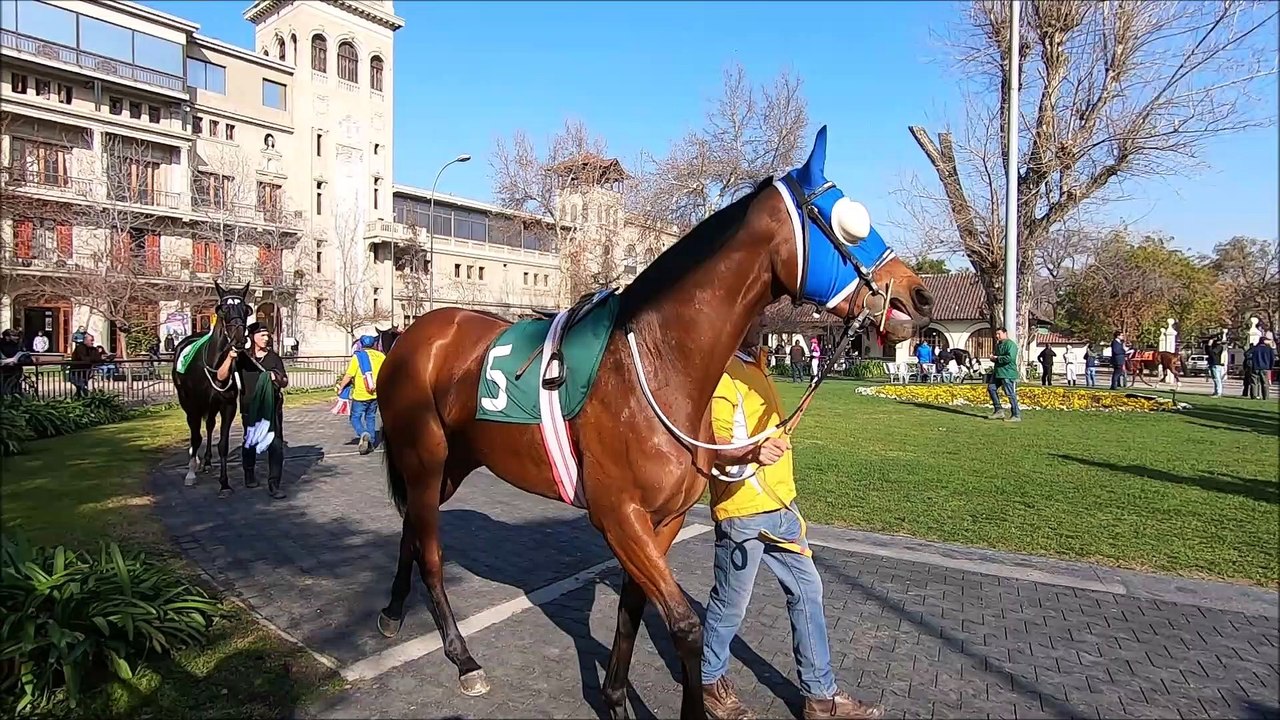 Club Hípico de Santiago Racecourse in Santiago