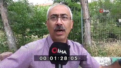 Truva atı Kazdağı köknarından yapıldı iddiası!