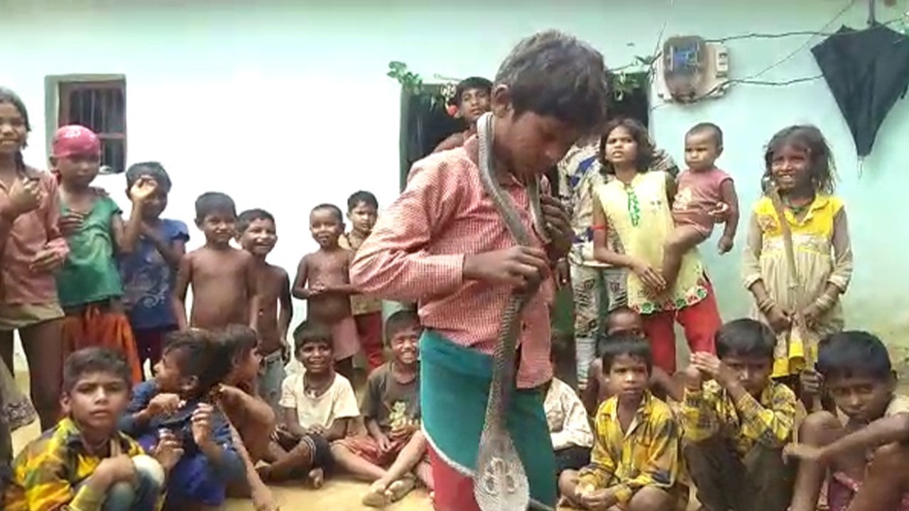 यहां दुधमुंहे बच्चे भी जहरीले सांपों को गले में डाले रखते हैं, वो काटते नहीं दोस्ती निभाते हैं