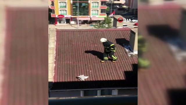 Kanadı kırık martıyı itfaiye ekipleri kurtardı