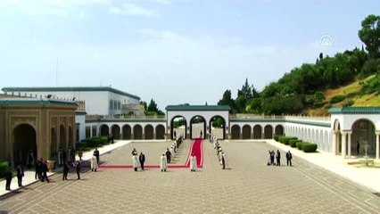 Tunus Cumhurbaşkanı Sibsi'nin vefatı (1)