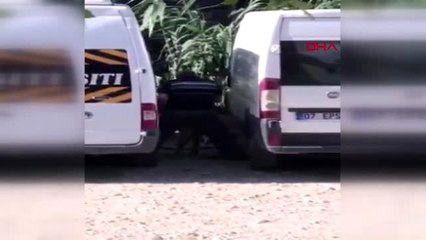 ANTALYA Köpeğe cinsel saldırıda bulunurken görüntülenen zanlı yakalandı