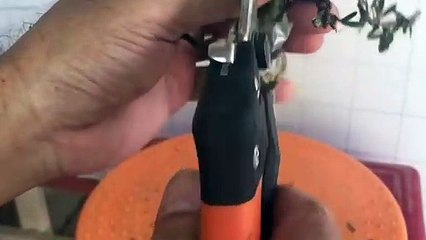 춘천출장타이O7OW7301W9649｛카톡CS69｝ぱ춘천출장안@마ぱ춘천출장샵ぱ춘천출장맛사지 ぱ춘천출장걸썰 춘천출장걸가격 춘천출장러시아 춘천외국인후불출장업소 춘천24시출장마사지샵'예약ωÆÐ