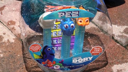 Disney encontrando Dory Brincadeiras  na piscina