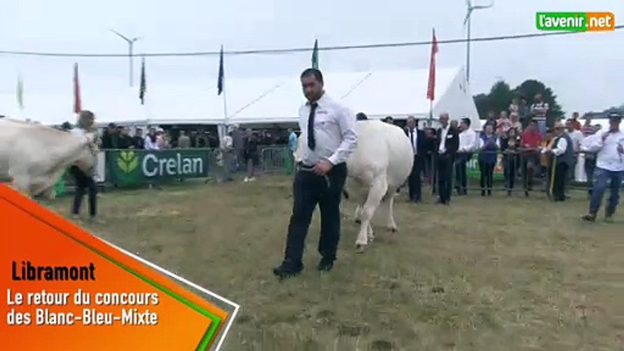 L'Avenir - Foire de Libramont - Le retour du concours des Blanc-Bleu-Mixte