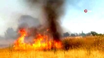 Manisa'da ot yangını korkuttu