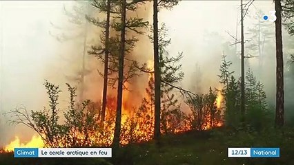 Incendies : des millions d'hectares partis en fumée dans le cercle arctique