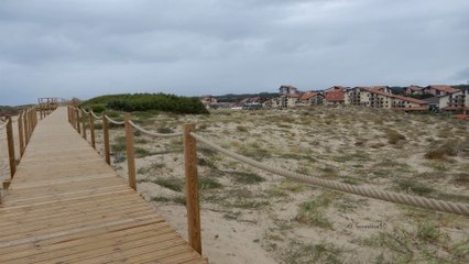 Seignosse le Penon ( 40 )