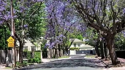 10 Best Places to Visit in Australia - Travel Video