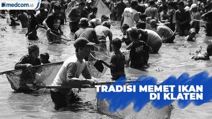 Mengenal Tradisi Memet Ikan di Klaten
