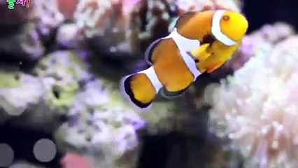 구로출장타이OiOc7362c3210｛카톡RQ43｝ぱ구로출장안@마ぱ구로출장샵ぱ구로출장맛사지 ぱ구로출장걸썰 구로출장걸가격 구로출장러시아 구로외국인후불출장업소 구로24시출장마사지샵'예약сту