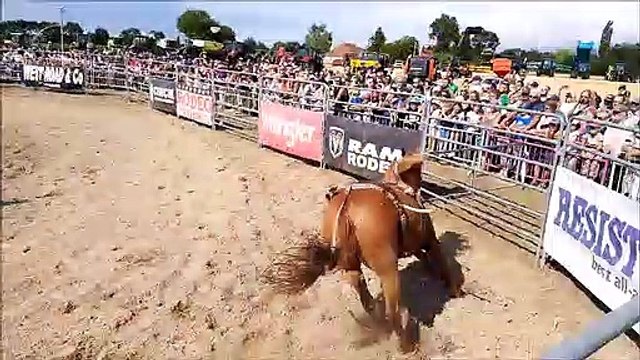 Rodéo sur cheval à Simard pour la fête de l'agriculture