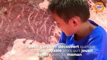 Un enfant trouve un nid d'oeufs de dinosaure