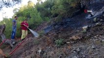 Çorum'da orman yangını: 2 hektar alan kül oldu