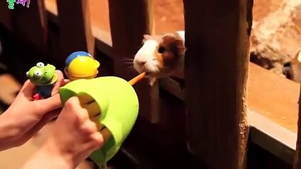 기흥구출장안마 -후불100%ョØ7ØE5180E1619｛카톡NX34｝ 기흥구전지역출장안마 기흥구오피걸 기흥구출장마사지 기흥구안마 기흥구출장마사지 기흥구콜걸샵♀￥≒